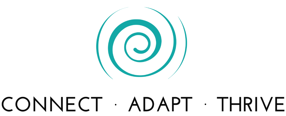 Antony Quin Executive Coach & Leadership Consultant logo